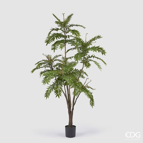 EDG Enzo De Gasperi Ailanto con Vaso Artificiale H 220 Cm Green