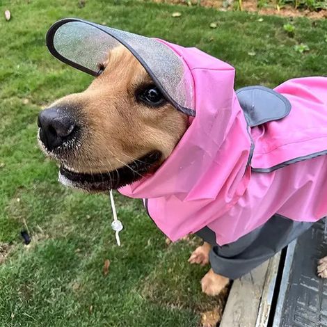 Manteau imperméable pour chien avec capuche amovible, taille 12 (dos 32cm), pluie et intempéries, veste de protection pour petit chien, imperméable léger et pratique, équipement de promenade par temps