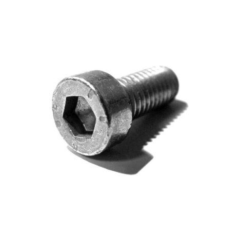 11146528900 - Vis d'arrêt M5x12 pour tronçonneuse STIHL (1/2)