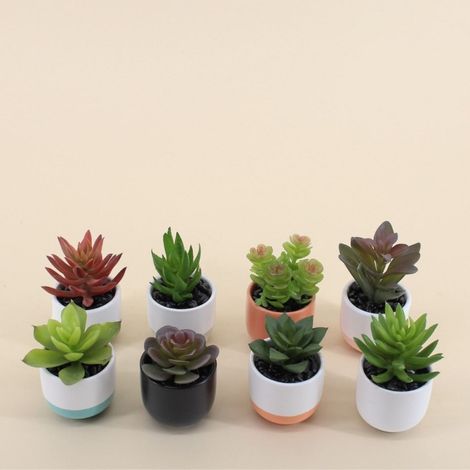 Lot de 8 plantes grasses artificielles en pot céramique
