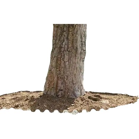 Gartenrasenkante, imprägniertes Massivholz-Kiefer, 120 × 20 × 1,5 cm, 2 Rollen, wetterbeständig, flexibles rollbares Design (1/5)