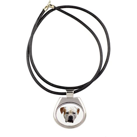 Bulldog americano: collar con foto e inscripción geométrica de Art-Dog (1/3)