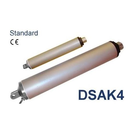 Cilindro elettrico 12 V/DC Lunghezza corsa 300 mm 100 N Drive System Europe by MSW DSAK4-12-100-300-IP54 (1/4)