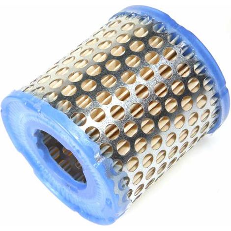 Filtre à air pour Briggs & Stratton 396424 (1/5)