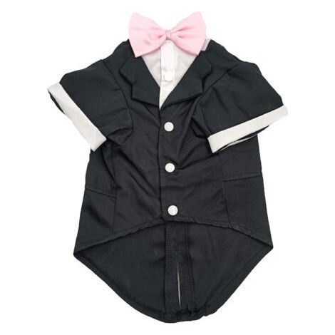 Vêtements d'automne et d'hiver pour chiens, vêtements d'hiver pour animaux de compagnie, vêtements de mariage(L) (1/5)