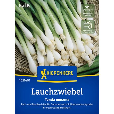 Kiepenkerl Saatgut Lauchzwiebel Tonda musona für ca. 1 – 1,5 m²