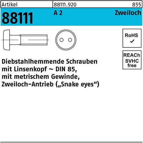 Vis R 88111 antivol Liko/à deux trous M6x 16 A 2 100 pièces