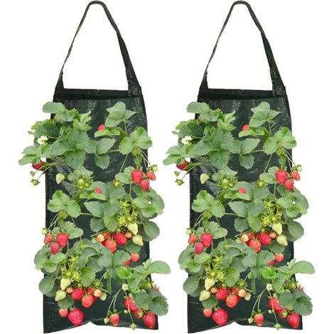 Set mit 2 Erdbeerpflanzsäcken mit 8 Löchern, strapazierfähig, atmungsaktiv, Pflanzsäcke mit Griffen für Pflanzen/Kräuter/Blumen (1/4)