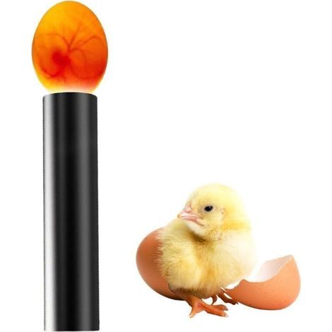 Testeur D'Oeufs avec Lumière LED, Testeur d'œufs à LED, Mini Incubateur Éclairage, Lumière De Mirage Pour œufs,Lampe Bougie Mené Mire Vérifier Rechargeable Identifier Infertiles Surveiller (1/5)