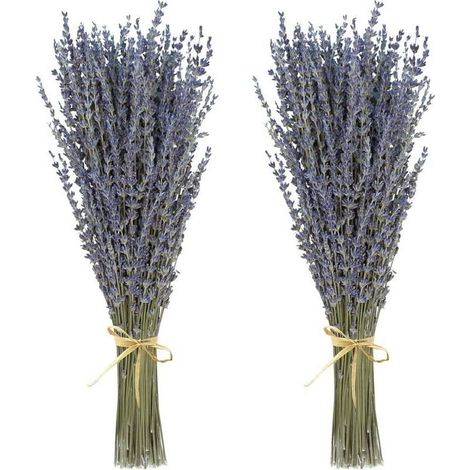 Bouquets de fleurs de lavande séchées (plus de 200 tiges, de 38 à 43 cm de long) pour la décoration intérieure,les loisirs créatifs, les cadeaux (1/4)