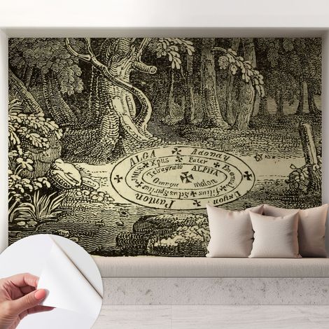 Carta da parati adesiva - lavabile - decorazione murale - per cucina - pellicola decorativa Cerchio magico 208x146 cm (1/5)