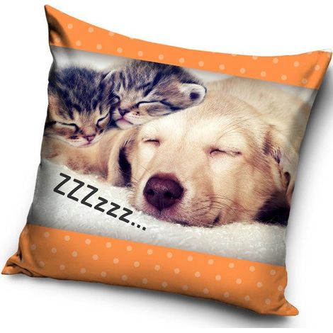 UNE HOUSSE DE COUSSIN - MOTIF CHIENS OU CHATS - 40 X 40 CM - (PNL182004) CAT PD12345