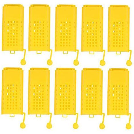 Kit de 10 coupelles d'élevage apicole