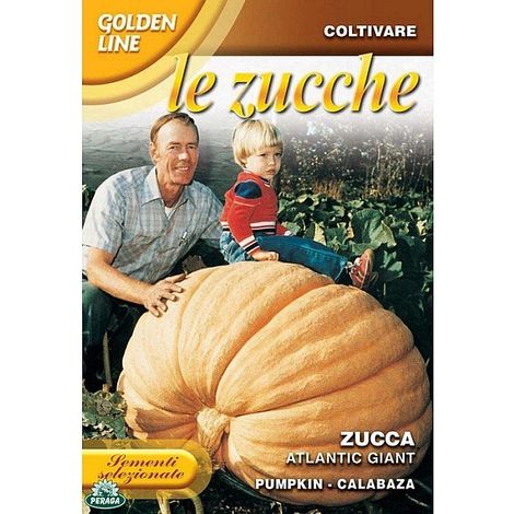 BUSTINA CON SEMI DI ZUCCA ATLANTIC GIANT (1/2)