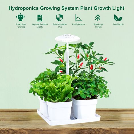 Lampe de croissance hydroponique 12 V CC 2 A pour plantes, avec modes d'éclairage : spectre complet, plantation et lampe de bureau. Fonction minuterie et luminosité réglables. Idéale pour les fruits,  (1/2)