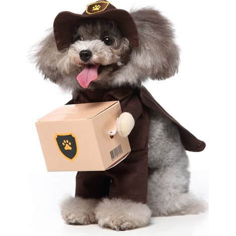 Chien Stand Up Vêtements pour chiens drôles Stand Up Dress Up(porter M) (1/5)