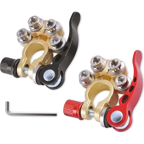Bornes de batterie IWH avec fermeture rapide, lot de 2 (1/2)