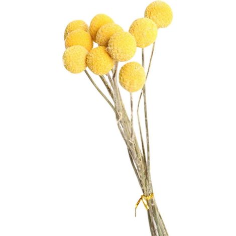 Lot de 10 fleurs séchées naturelles pour la décoration intérieure et les compositions florales-0.8 to 1cm