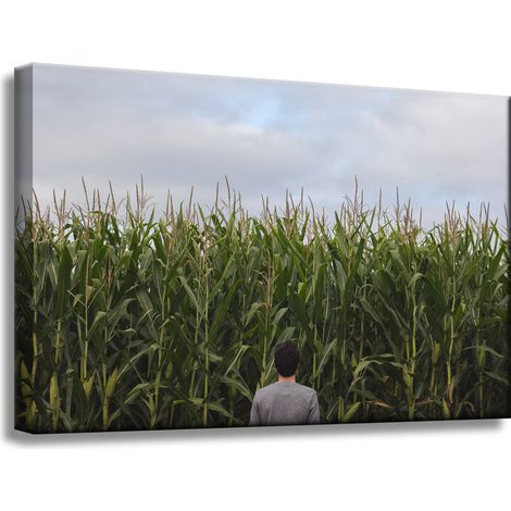 Leinwanddruck Naturmotiv Maisfeld 60x40 cm