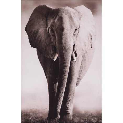 Toile encadrée Animaux 75x115cm - Atmosphera créateur d'intérieur (1/4)