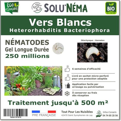 Traitement contre les vers blancs (otiorhynque,hanneton) - 250 millions Nématodes HB