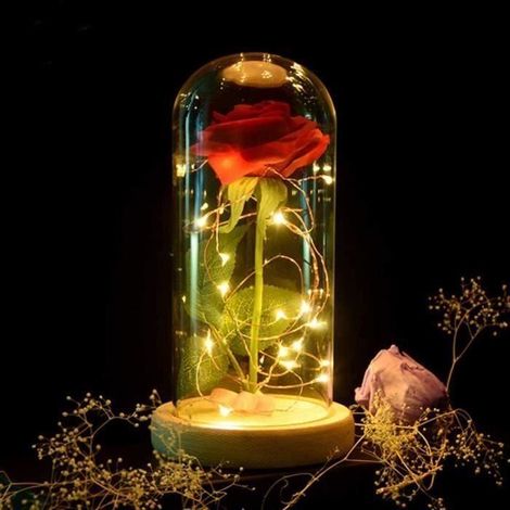 La rose eternelle et lumière led,Rose Eternelle sous Cloche,Cadeaux de vacances,Cloche et Rose Fleur Artificielle,Guirlande Lumineu (1/4)