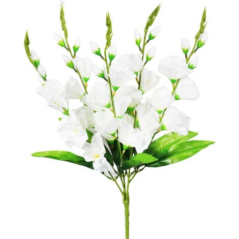 Bouquet de cinq glaïeuls blancs, hauteur 60 cm