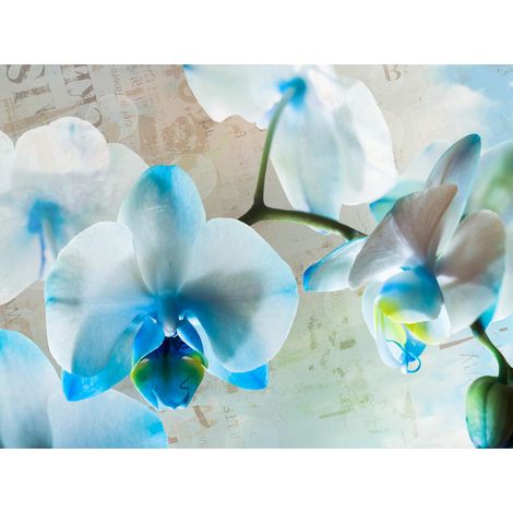 Blues flowers, photo murale, 360x255 cm, 4 parts (1/2)