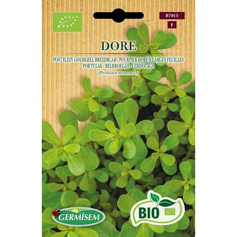 Bio Graines Pourpier doré à larges feuilles DORE (1/5)