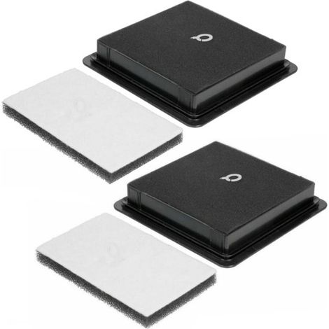 Juego de 2 filtros de escape y motor apto para la serie Philips 2000 (XB2022, XB2023, XB2042, XB2062, XB2122, XB2123, XB2125, XB2142) (1/5)