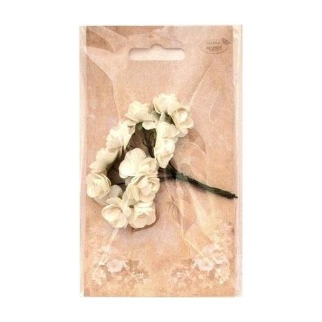Rose di carta, diverse tonalità di bianco, miste, 12 pezzi.