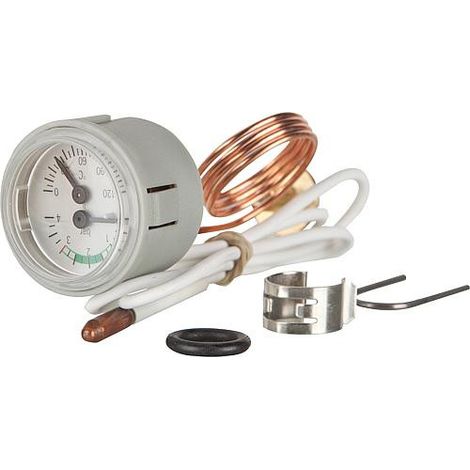 Wolf thermomanomètre 203.906.699 pour CGB-20