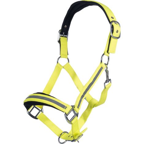 Full, Giallo neon: Cavezza per cavalli modello Reflective in nylon con inserti catarifrangenti e con nasalina e frontalino imbottiti