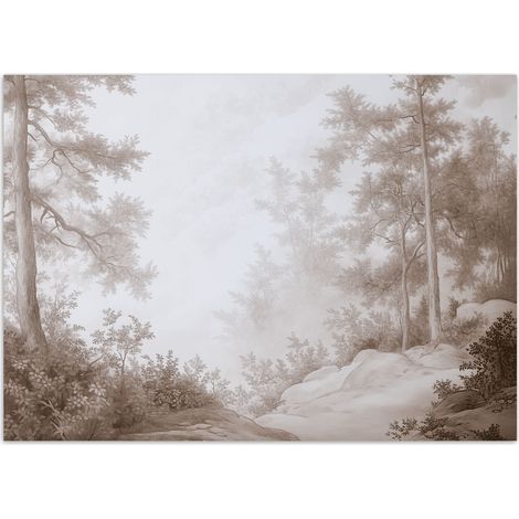 Fototapete Wald im Nebel 100x70 cm (1/5)