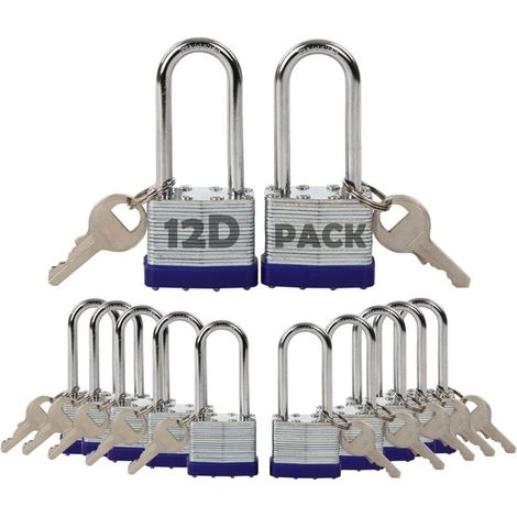 Lot de 12 Cadenas à Clé Identique Acier Laminé Antirouille 40mm pour Casier Clôture Portail (1/4)