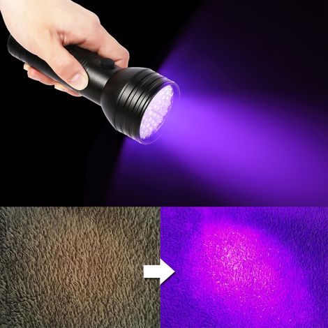 Lampe UV portable pour détecter urine chien chat - Lampe torche lumière noire pour tapis et voiture