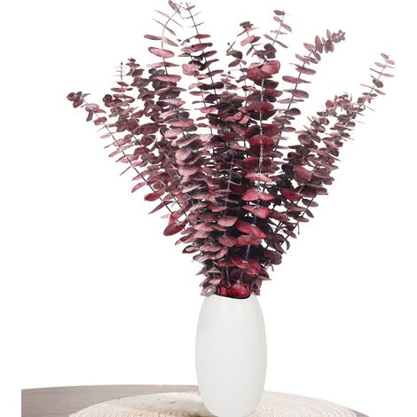 Eucalyptus Décoration - Lot de 22 pièces d'eucalyptus séché (43 cm et plus), eucalyptus séché pour décoration, mariage, accessoires de maison, arrangement de fleurs séchées, rouge (1/5)