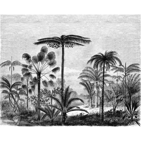 papier peint panoramique paysage tropical avec des palmiers noir et blanc  - ESTAhome (1/5)