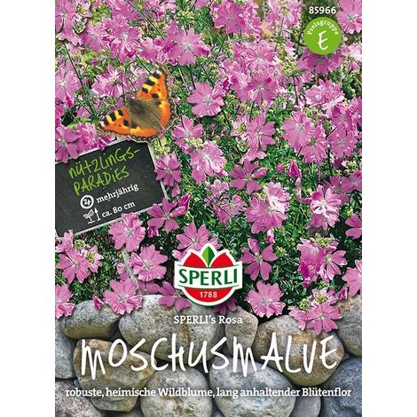 Sperli Moschusmalven SPERLI's Rosa - Blumensamen (1/4)