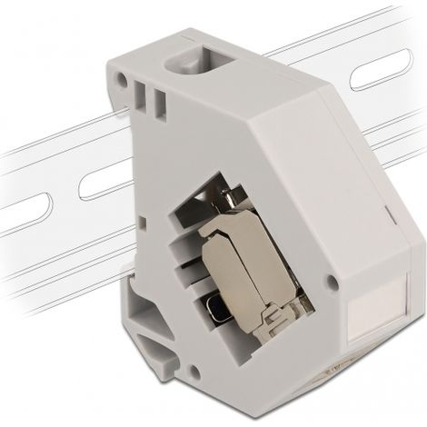 Delock Adaptador de carril DIN con mÃ³dulo Keystone RJ45 hembra Cat.6A LSA