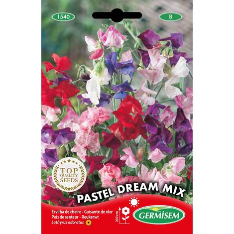 Pastel Dream Mix Graines de Pois Doux 1.5 g Multicolore
