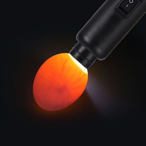 [Eierprüfer mit Kerzenfunktion] – LED-Licht – Betrieb mit zwei Stromquellen (Hand-/Batteriebetrieb) – ABS – 15 cm – Netzteil und 2 Schutzkappen im Lieferumfang enthalten (1/5)