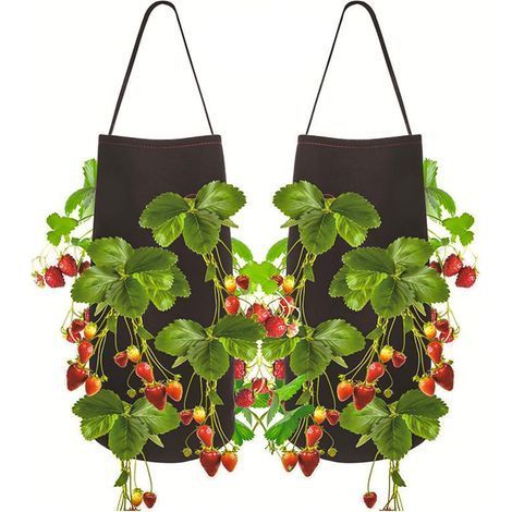 2pcs Sac de Plantation pour Fraise, Sac de Plantation de Pomme de Terre , Sac Potager avec la Fenêtre et la Poignée pour des Fraises, des Tomates, des Légumes (1/5)