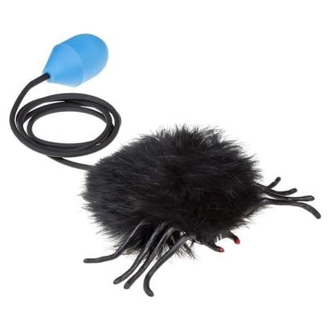 Araignée sauteuse noire