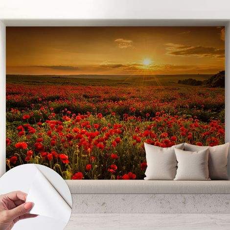 Carta da parati adesiva - fotomurale - facile da applicare - per la soggiorno - camera da letto - Campo di papaveri 208x146 cm (1/5)