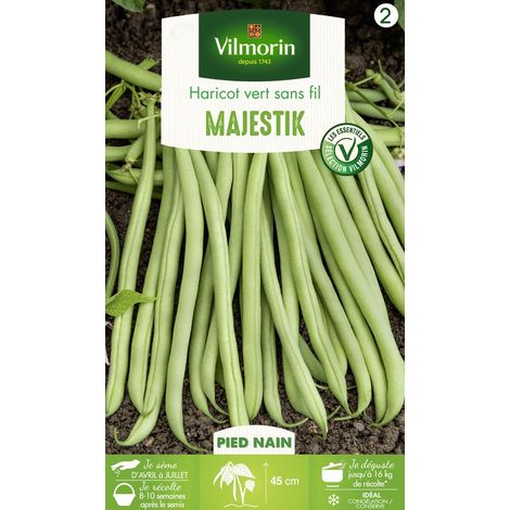 Vilmorin Haricot nain vert sans fil Majestik