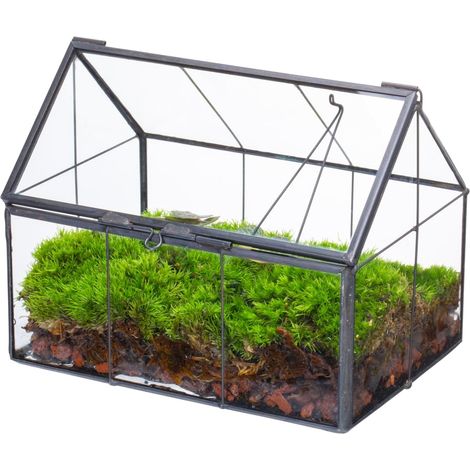 Mini Terrarium en Verre avec Couvercle, 15,5x10,8x12,5 cm, Pot de Fleurs Fermé en Forme de Maison pour Petits Cactus, Plantes (Plantes et Accessoires Non Inclus) (1/5)
