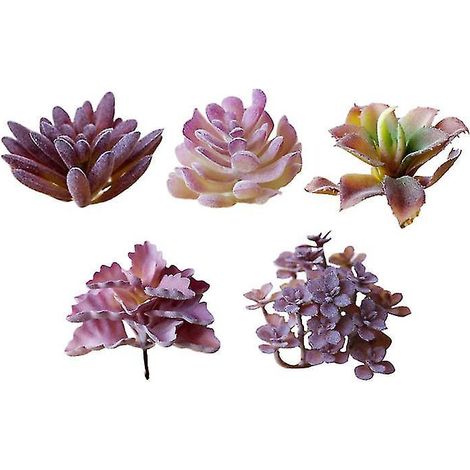 Lot de 5 fleurs succulentes artificielles (1/3)