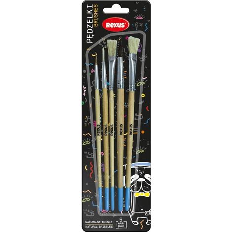 Set di 5 pennelli con setole naturali