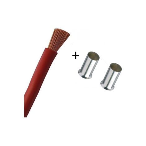 Cordon de 0.80M de 16mmu00b2 souple Rouge + Embout - Ru00e9f : VK16ROUGE80CM (1/2)